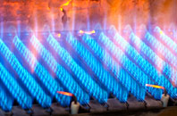 Ellary gas fired boilers