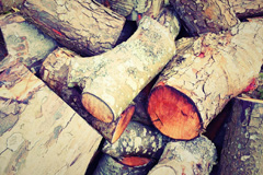 Ellary wood burning boiler costs